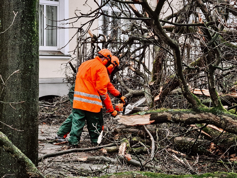 FW-RE: Sturmtief Zoltan verursacht Sturmschäden im Stadtgebiet - Mehrere Löschzüge im Einsatz - Foto: presseportal.de