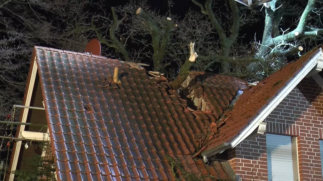 In Schapen (Niedersachsen) hat der Sturm einen Baum auf ein Wohnhaus gestürzt. - Bild: -/NWM-TV/dpa