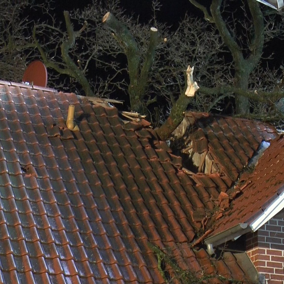 In Schapen (Niedersachsen) hat der Sturm einen Baum auf ein Wohnhaus gestürzt. - Foto: -/NWM-TV/dpa