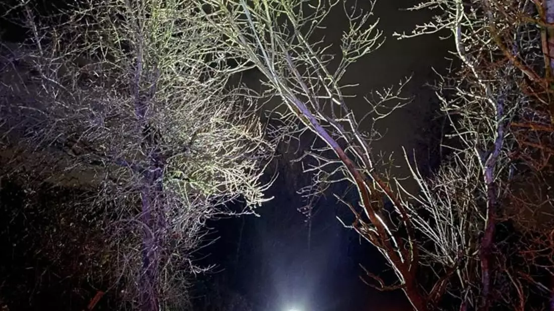 FW-EN: Wetter - Sturmtief Zoltan sorgt für ein gutes dutzent Einsätze im Stadtgebiet - Bild: presseportal.de
