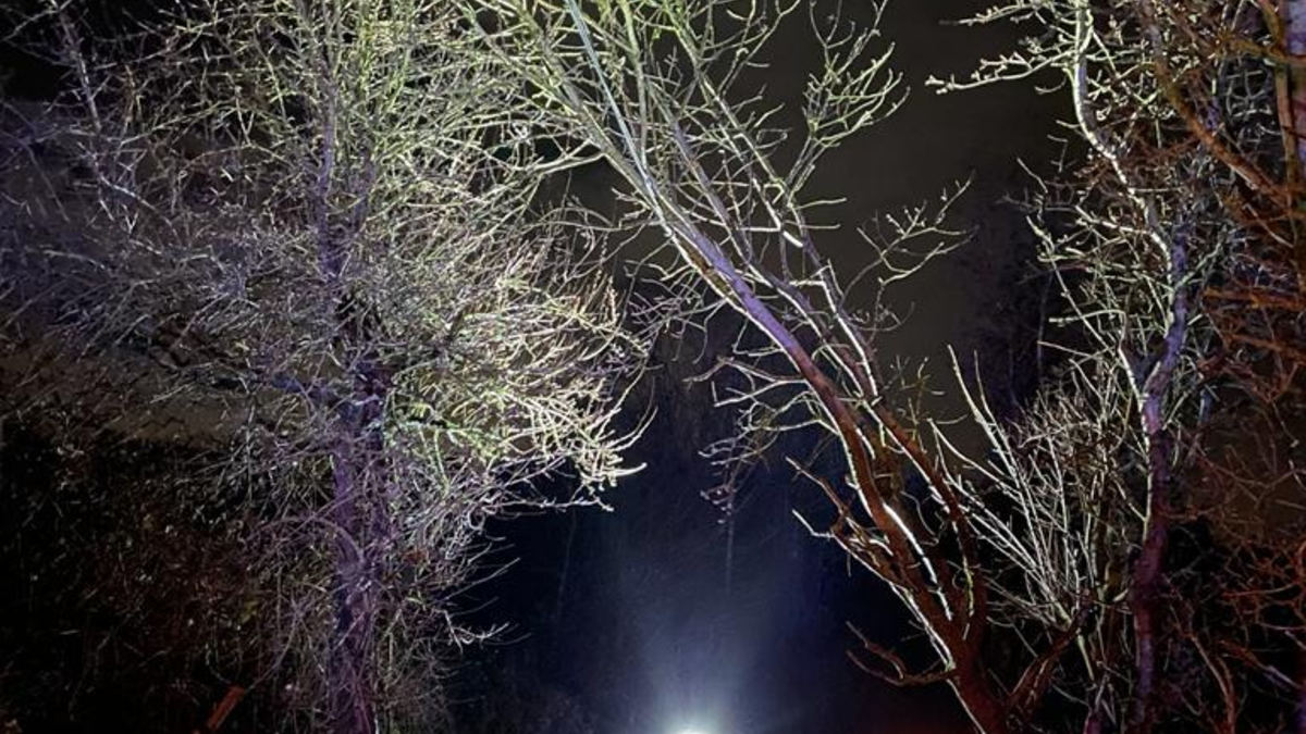 FW-EN: Wetter - Sturmtief Zoltan sorgt für ein gutes dutzent Einsätze im Stadtgebiet - Foto: presseportal.de