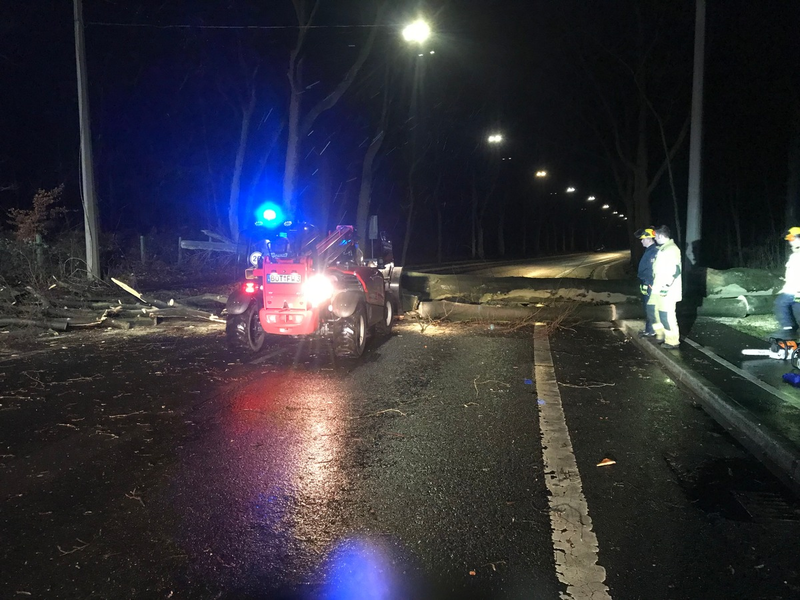 Copywriting als Trend-Business: So sicher ist der Job wirklich - Foto: presseportal.de