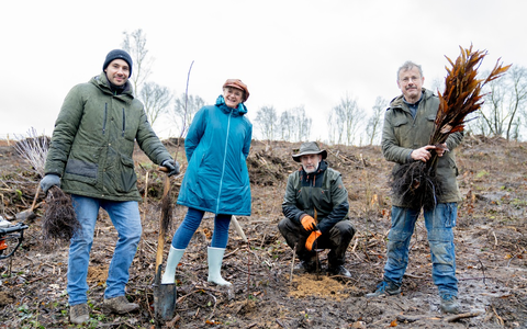 lavera ermöglicht dringend notwendige Aufforstung am Stemmer Berg - Foto: presseportal.de