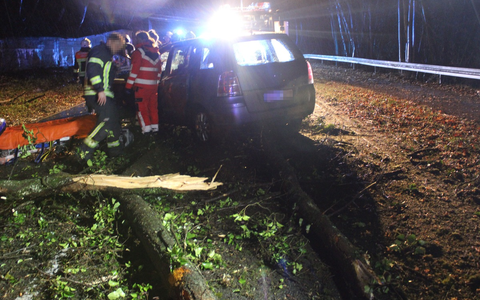 POL-RBK: Overath - Drei Pkw mit umgestürztem Baum kollidiert - Zwei Personen verletzt - Foto: presseportal.de
