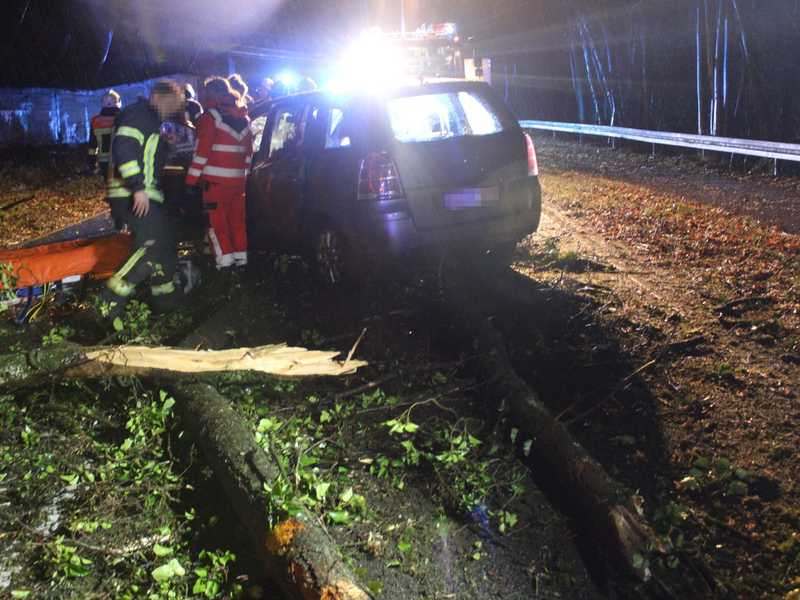POL-RBK: Overath - Drei Pkw mit umgestürztem Baum kollidiert - Zwei Personen verletzt - Foto: presseportal.de