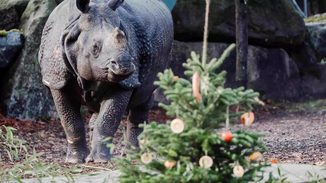 Mach-einen-Zoobesuch-Tag weckt Abenteuerlust nach den Feiertagen / Verband der Zoologischen Gärten lädt zum Zoobesuch auch im Winter - Bild: presseportal.de