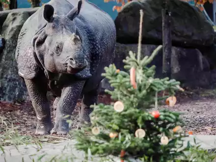 Mach-einen-Zoobesuch-Tag weckt Abenteuerlust nach den Feiertagen / Verband der Zoologischen Gärten lädt zum Zoobesuch auch im Winter - Foto: presseportal.de