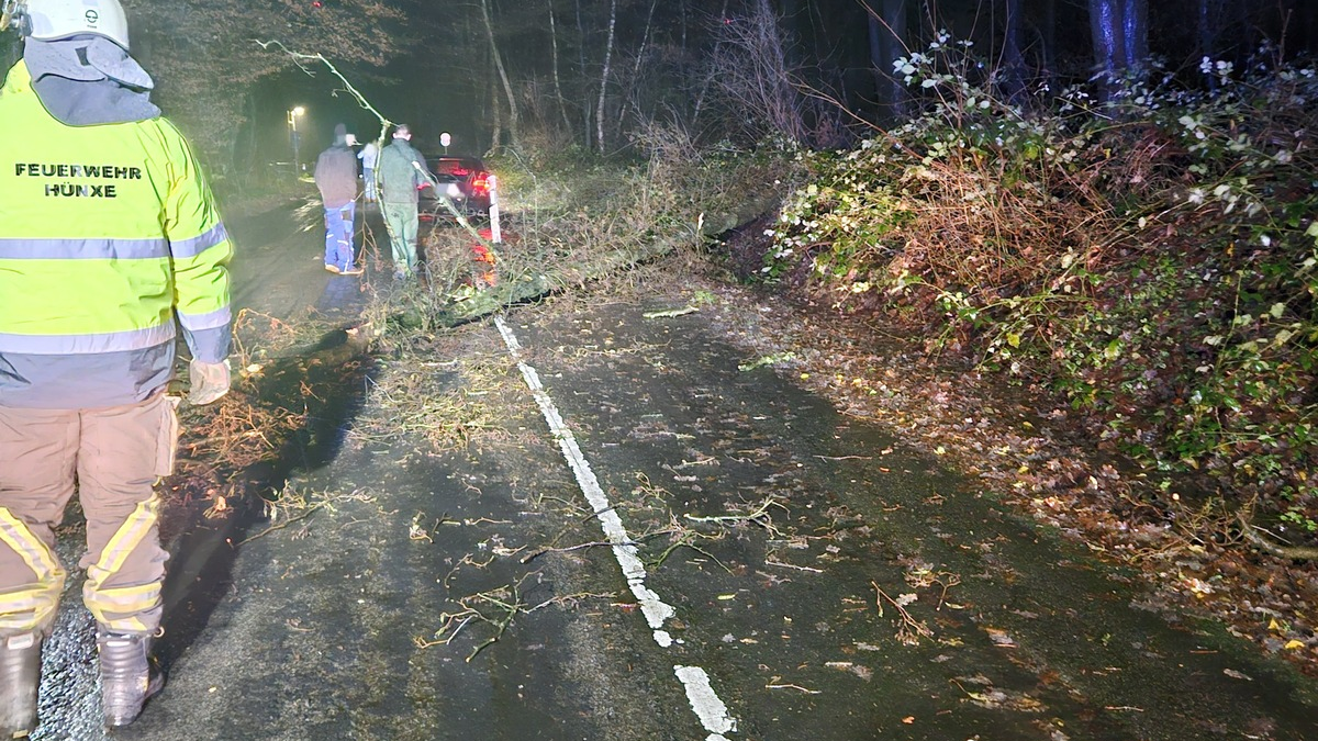 FW Hünxe: Pkw kollidiert mit umgestürztem Baum - Foto: presseportal.de