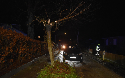 POL-VER: Pressemitteilung der Polizeiinspektion Verden/Osterholz von Samstag, den 23.12.2023 - Foto: presseportal.de