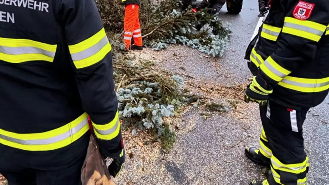 FW-M: Sturmtief Zoltan wollte es noch mal wissen (Stadtgebiet) - Bild: presseportal.de