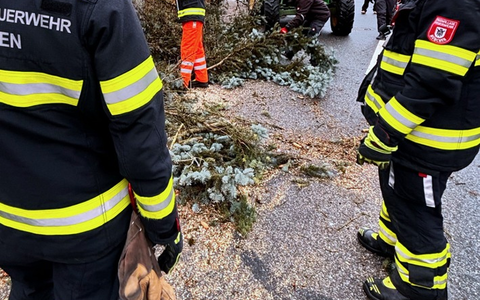 FW-M: Sturmtief Zoltan wollte es noch mal wissen (Stadtgebiet) - Foto: presseportal.de