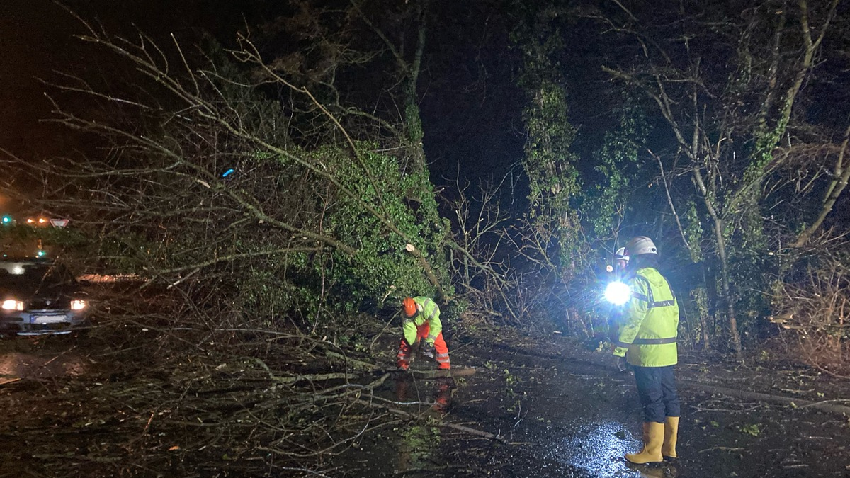 FW-EN: Glück im Unglück - PKW kommt zwischen umstürzenden Bäumen zum Stehen - Foto: presseportal.de