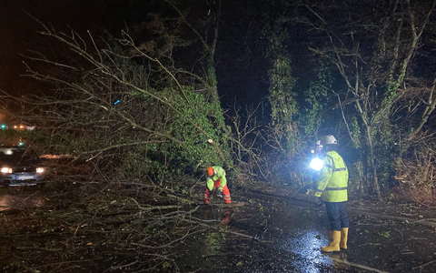 FW-EN: Glück im Unglück - PKW kommt zwischen umstürzenden Bäumen zum Stehen - Foto: presseportal.de