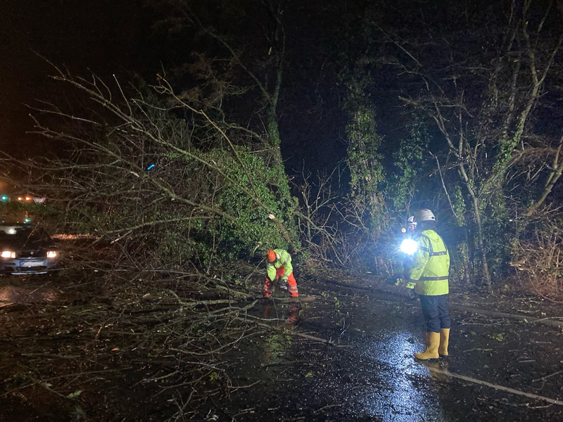 FW-EN: Glück im Unglück - PKW kommt zwischen umstürzenden Bäumen zum Stehen - Foto: presseportal.de
