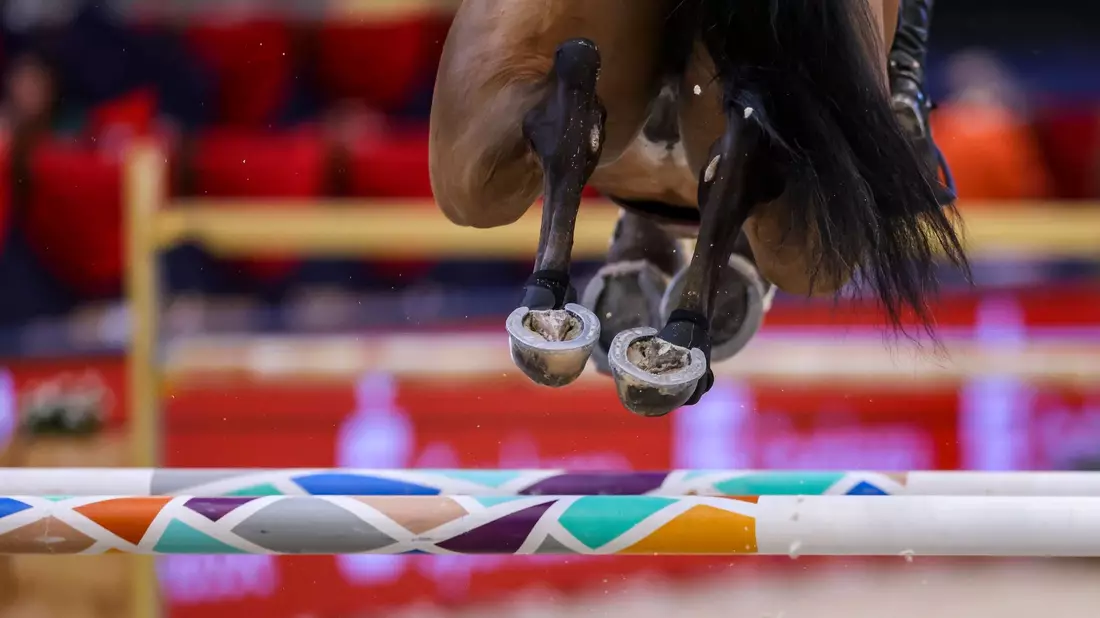 Russische und belarussische Reiter werden bei Olympia in Paris nicht starten. - Bild: Jan Woitas/dpa