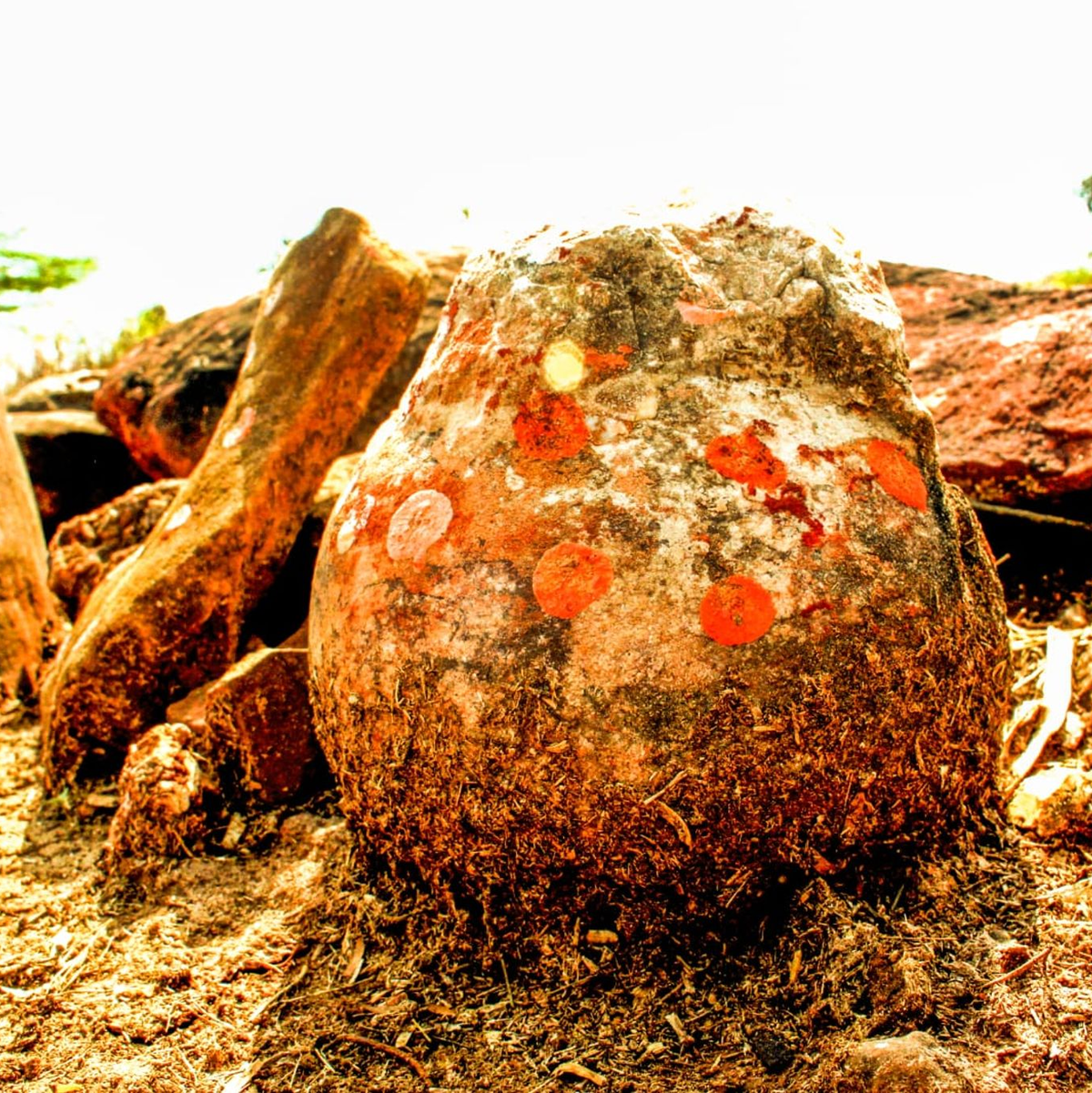 Diese als göttlich verehrte Steinkugel in Indien hat sich als Dino-Ei entpuppt. - Foto: Vishal Verma/dpa