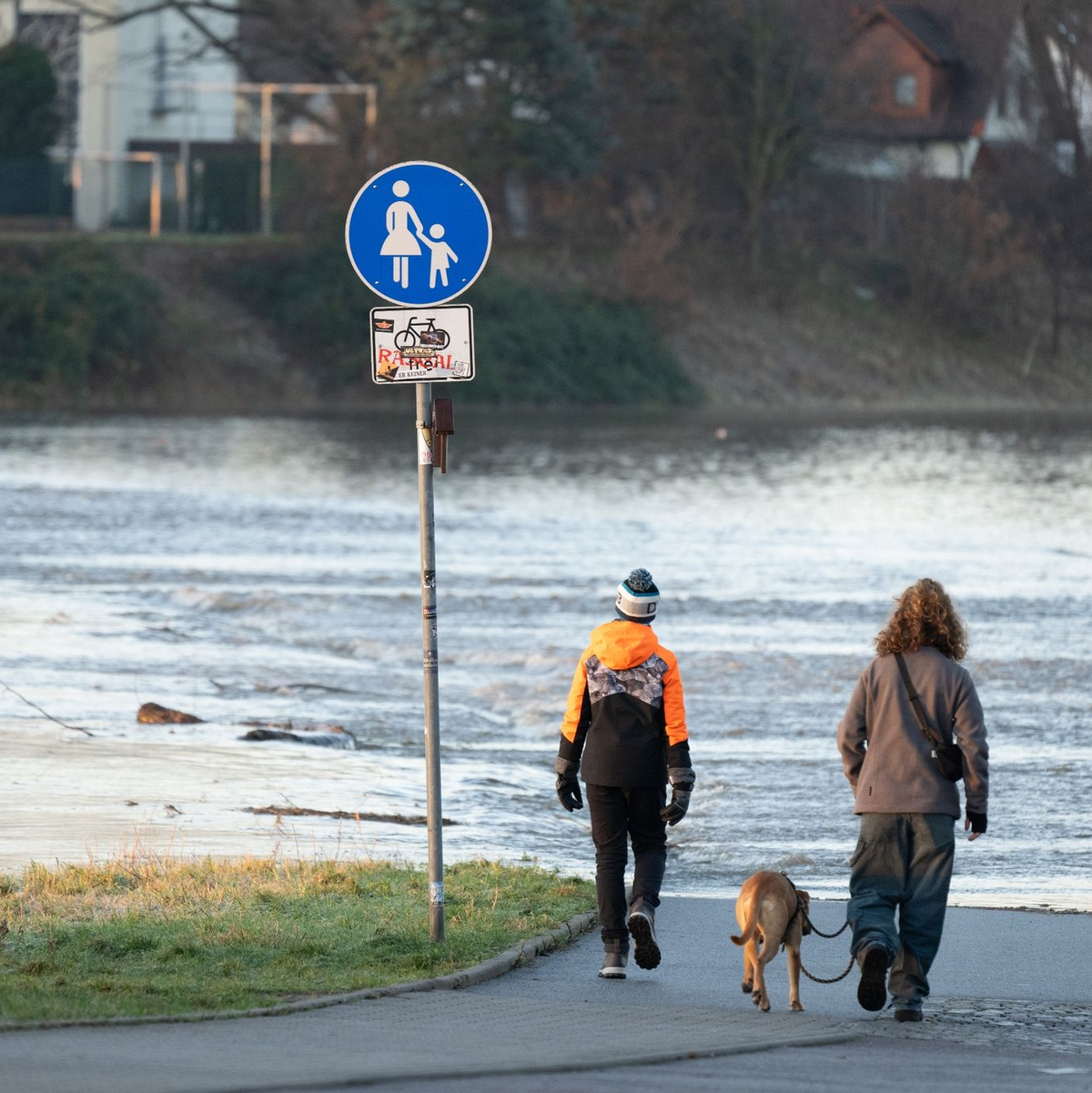 Das Hochwasser der Elbe tritt in der Flutrinne zwischen den Dresdner Stadtteilen Kaditz und Mickten über das Ufer. - Foto: Sebastian Kahnert/dpa