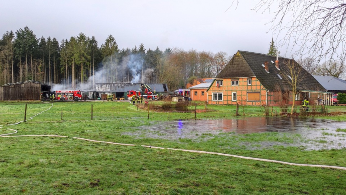 POL-ROW: ++ Langerhalle durch Feuer zerstört ++ - Foto: presseportal.de