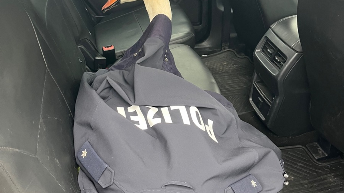 POL-BO: Nach Bruchlandung: Kommissar Schwan auf kurzer Streifenfahrt - Foto: presseportal.de