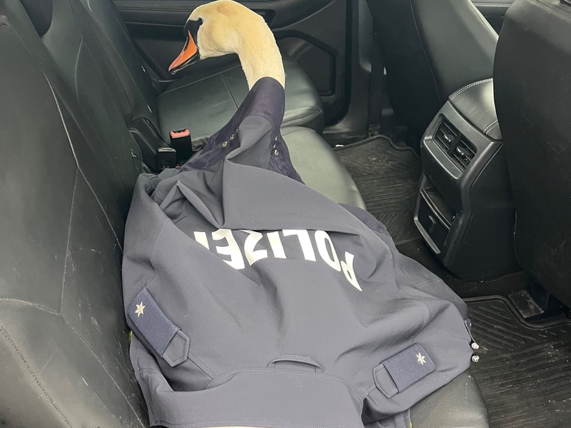 POL-BO: Nach Bruchlandung: Kommissar Schwan auf kurzer Streifenfahrt - Foto: presseportal.de