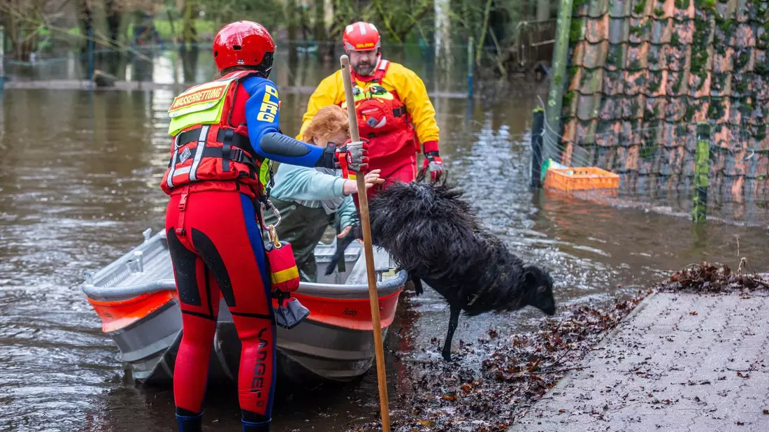 Mitarbeiter der DLRG retten in der Wedemark Heidschnucken. - Bild: Karsten Hölscher/DRLG Wedemark/dpa