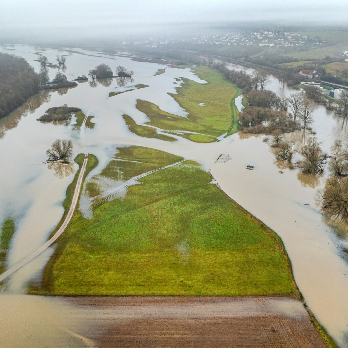 Der über die Ufer getretene Main überflutet Wiesen und Felder bei Haßfurt. - Foto: René Ruprecht/dpa