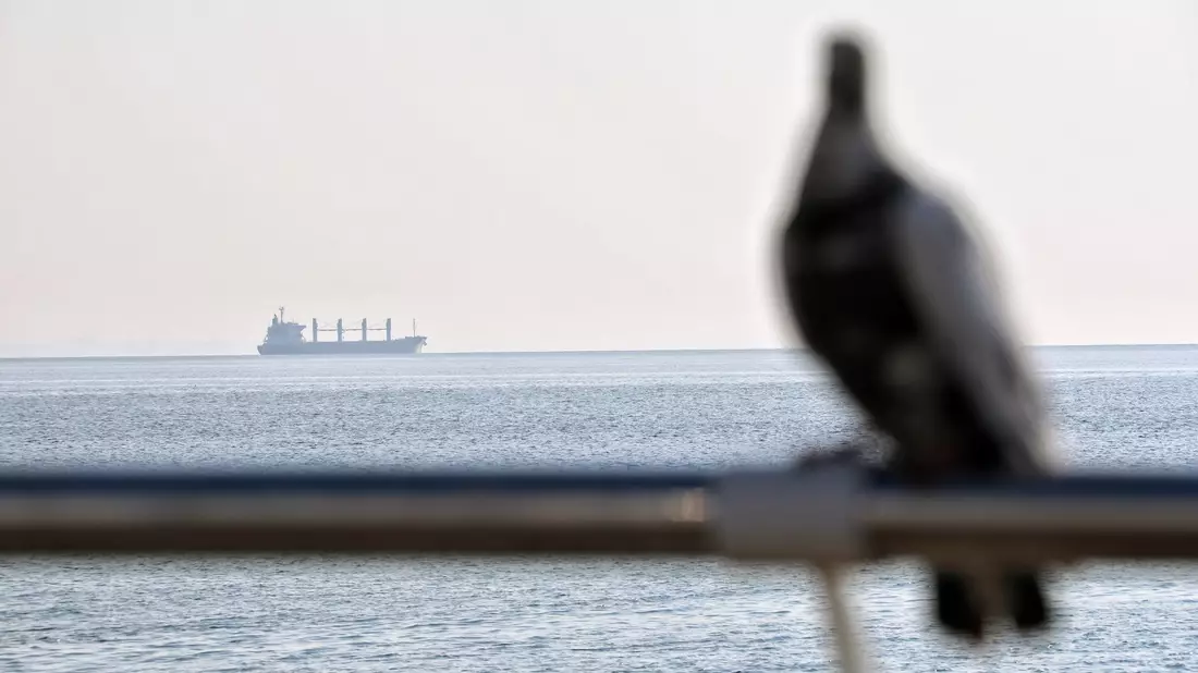 Ein Getreidefrachter im Schwarzem Meer vor Odessa (Symbolbild). - Bild: -/Ukrinform/dpa