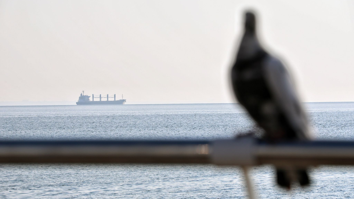 Ein Getreidefrachter im Schwarzem Meer vor Odessa (Symbolbild). - Foto: -/Ukrinform/dpa