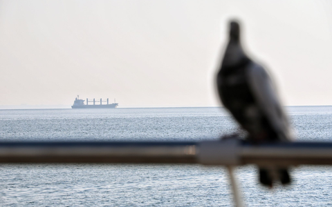 Ein Getreidefrachter im Schwarzem Meer vor Odessa (Symbolbild). - Foto: -/Ukrinform/dpa