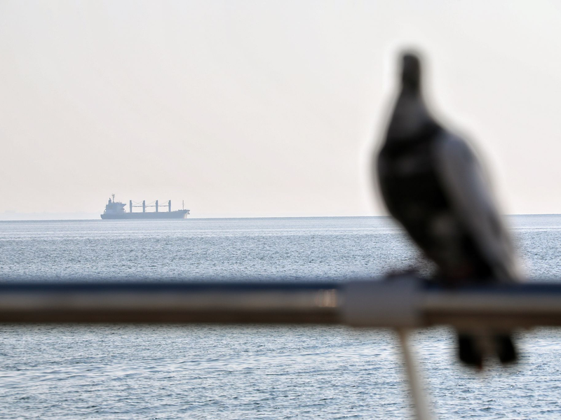 Ein Getreidefrachter im Schwarzem Meer vor Odessa (Symbolbild). - Foto: -/Ukrinform/dpa