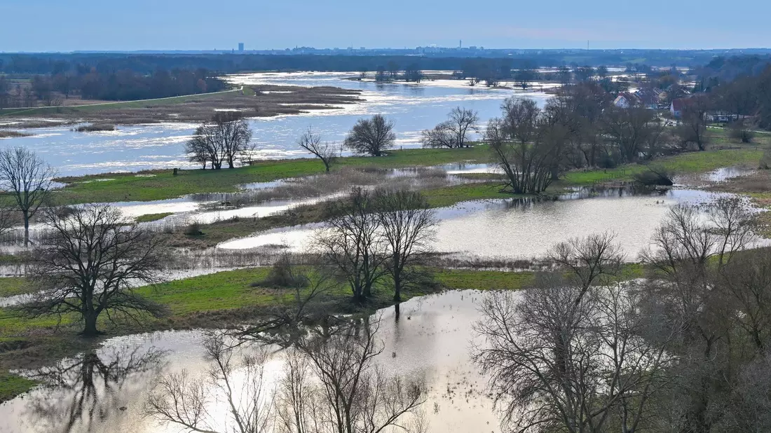 Das Hochwasser vom deutsch-polnischen Grenzfluss Oder hat schon teilweise Wiesen vor dem Deich überflutet. - Bild: Patrick Pleul/dpa