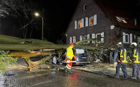 FW-BO: Baum stürzte auf Haus und Auto in Dahlhausen - Foto: presseportal.de