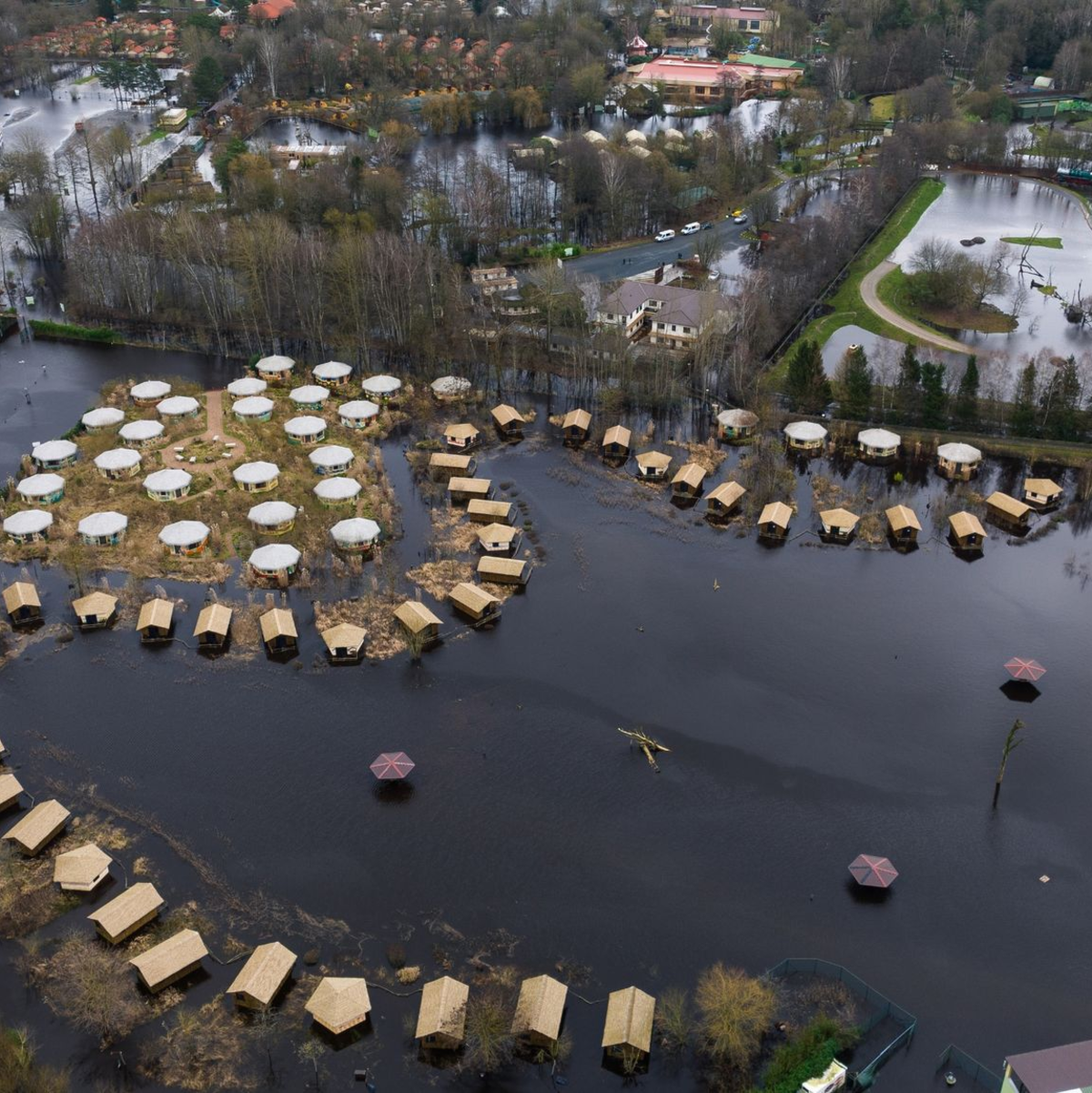 Flächen vom Serengeti-Park sind teilweise von Wasser überflutet. Die ersten Tiere  sind evakuiert worden. - Foto: Philipp Schulze/dpa