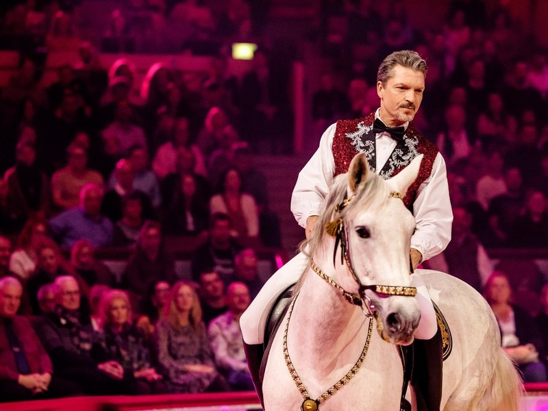 Hardy Krüger Jr Stars in der Manege - Foto: Seven.One/Nadine Rupp, presseportal.de