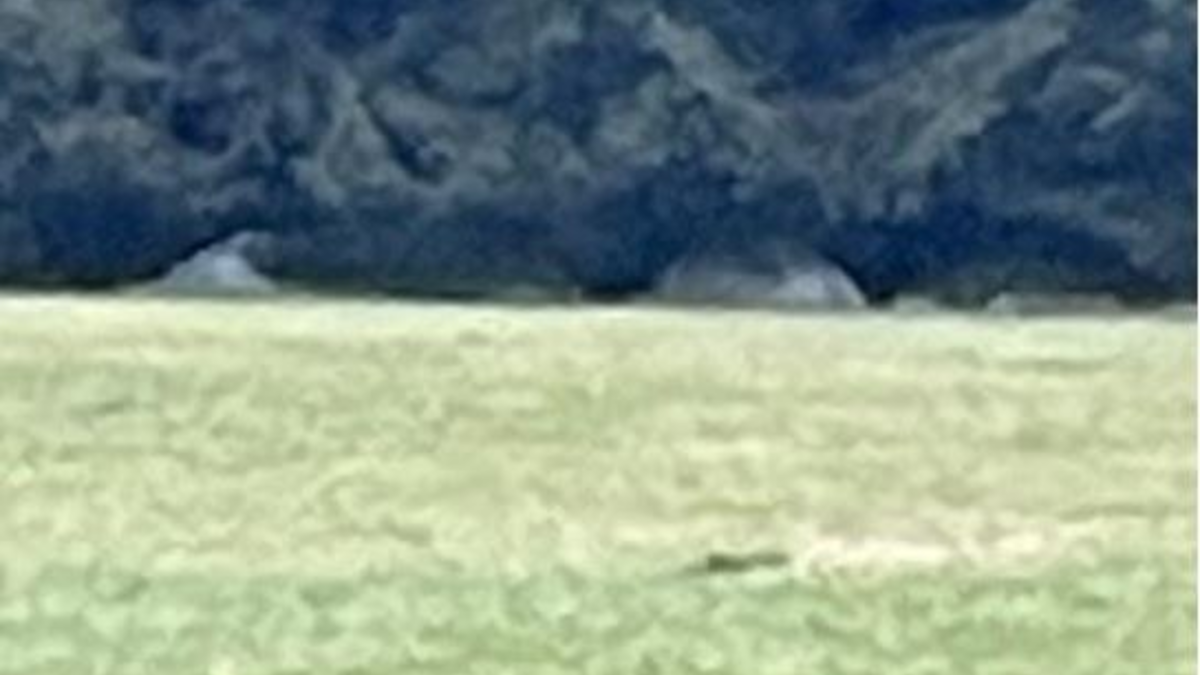 POL-PDWIL: Hinweise auf Zelte im Wald mit dem Verdacht auf wildes Campen stellten sich als alte Siloballen heraus - Foto: presseportal.de