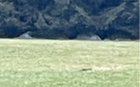 POL-PDWIL: Hinweise auf Zelte im Wald mit dem Verdacht auf wildes Campen stellten sich als alte Siloballen heraus - Foto: presseportal.de POL-PDWIL: Hinweise auf Zelte im Wald mit dem Verdacht auf wildes Campen stellten sich als alte Siloballen heraus - Foto: presseportal.de