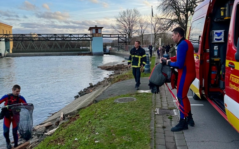 FW-EN: Ruhige Silvesternacht für die Feuerwehr - 8 Kleineinsätze am Wochenende: Gefahrenast entfernt und Blässhuhn gerettet. - Foto: presseportal.de