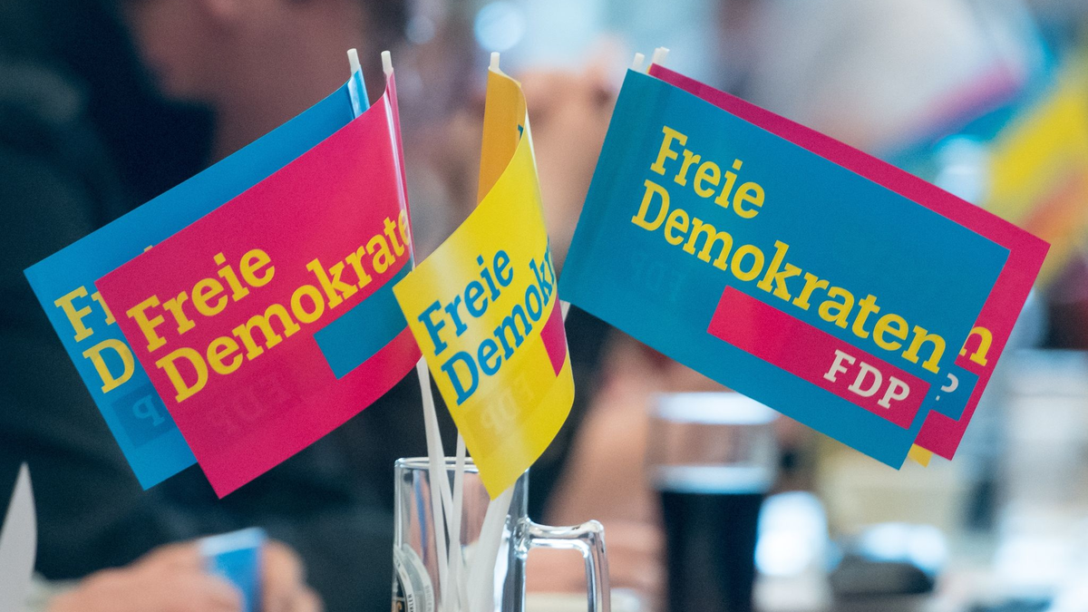 Die FDP-Mitgliederbefragung war Mitte des Monats gestartet. - Foto: picture alliance / Armin Weigel/dpa