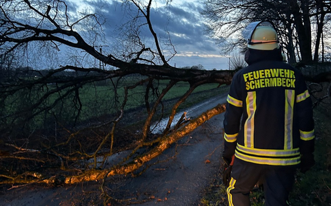 FW-Schermbeck: Sturmschaden für den Löschzug Schermbeck - Foto: presseportal.de