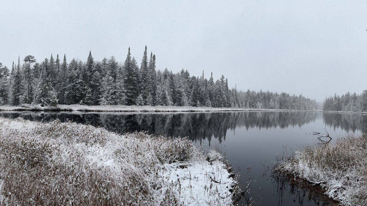 Verbräunung kann den Sauerstoffgehalt des kühleren Tiefenwassers in Seen verringern. - Foto: Eileen Randall/Eurekalert/dpa