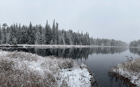 Verbräunung kann den Sauerstoffgehalt des kühleren Tiefenwassers in Seen verringern. - Foto: Eileen Randall/Eurekalert/dpa