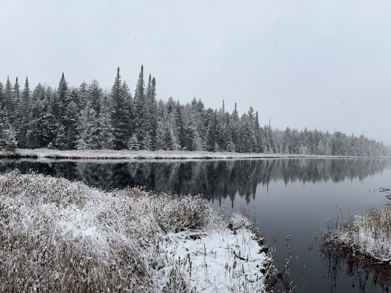 Verbräunung kann den Sauerstoffgehalt des kühleren Tiefenwassers in Seen verringern. - Foto: Eileen Randall/Eurekalert/dpa