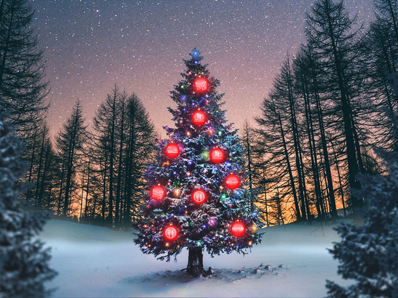 Der Kaufland Wunschbaum: 100.000 Euro für soziale Projekte - Foto: presseportal.de