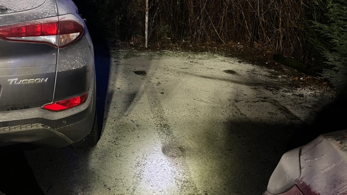 POL-NE: Unbekannte entzünden Hecke mit Feuerwerkskörper - Foto: presseportal.de