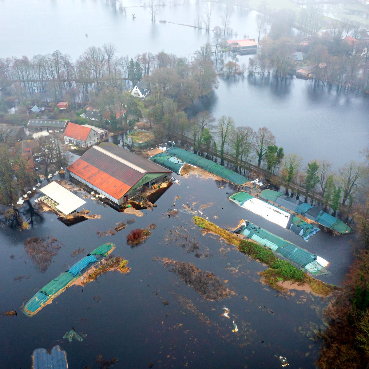 Ein Bauernhof im Bremer Stadtteil Timmersloh steht unter Wasser. - Foto: Sina Schuldt/dpa