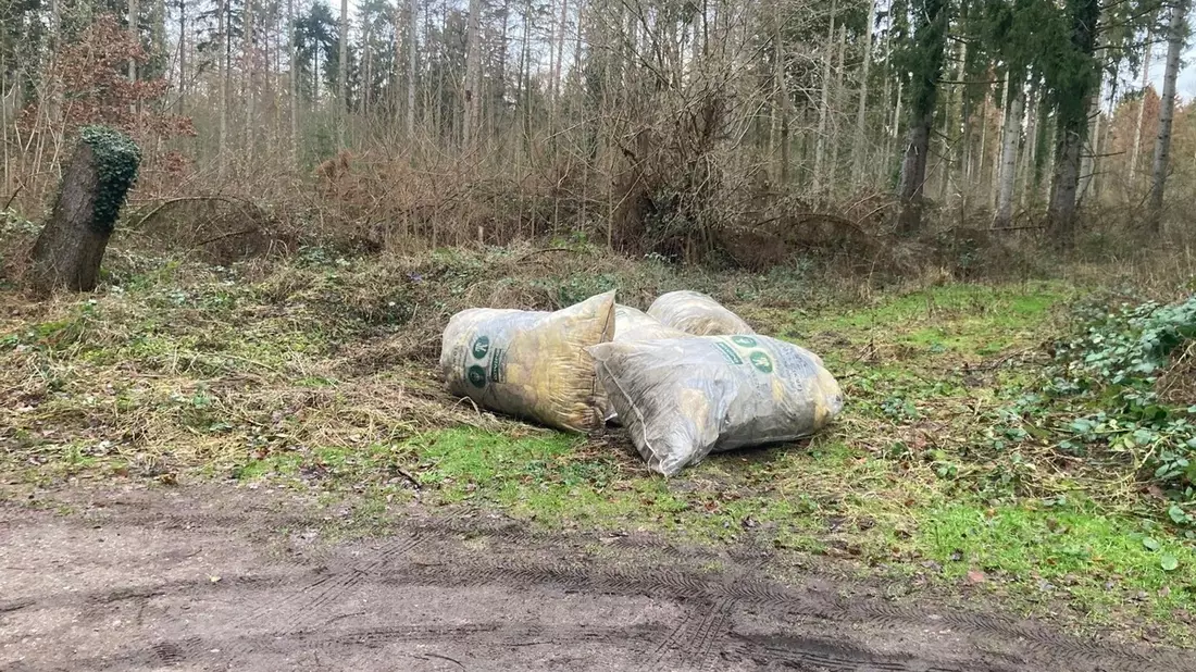 POL-HL: HL-Kücknitz / Polizei ermittelt nach unerlaubter Müllentsorgung - Bild: presseportal.de