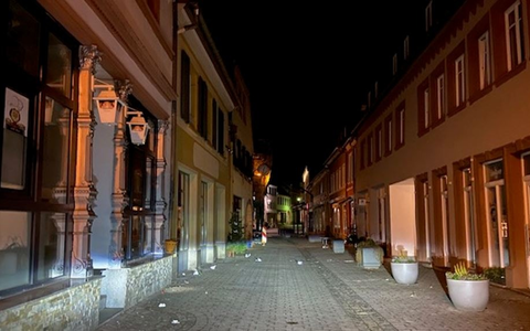 POL-PDLD: Edenkoben - Mit dem Weihnachtsbaum zur Dame seines Herzens - Foto: presseportal.de