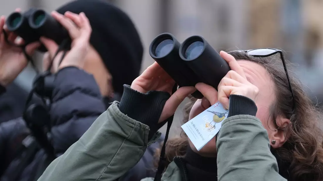 Bei der «Stunde der Wintervögel» können Bürgerinnen und Bürger wieder eine Stunde lang Vögel beobachten. - Bild: Sebastian Willnow/dpa