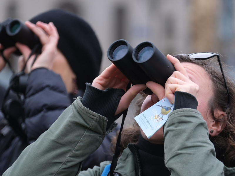 Bei der «Stunde der Wintervögel» können Bürgerinnen und Bürger wieder eine Stunde lang Vögel beobachten. - Foto: Sebastian Willnow/dpa