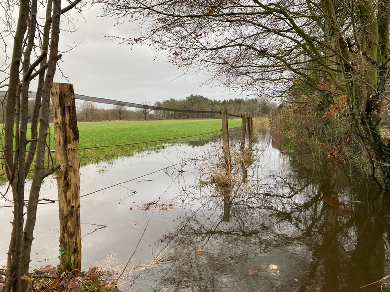 FW-PI: Dauerregen und Wind bescheren den Feuerwehren im Kreis Pinneberg einen unruhigen Mittwoch - Schwerpunkte in Bilsen und Moorrege - Foto: presseportal.de